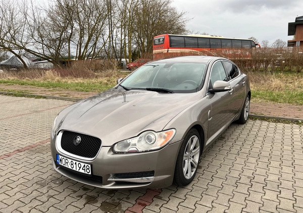 Jaguar XF cena 31900 przebieg: 196902, rok produkcji 2008 z Jarocin małe 277